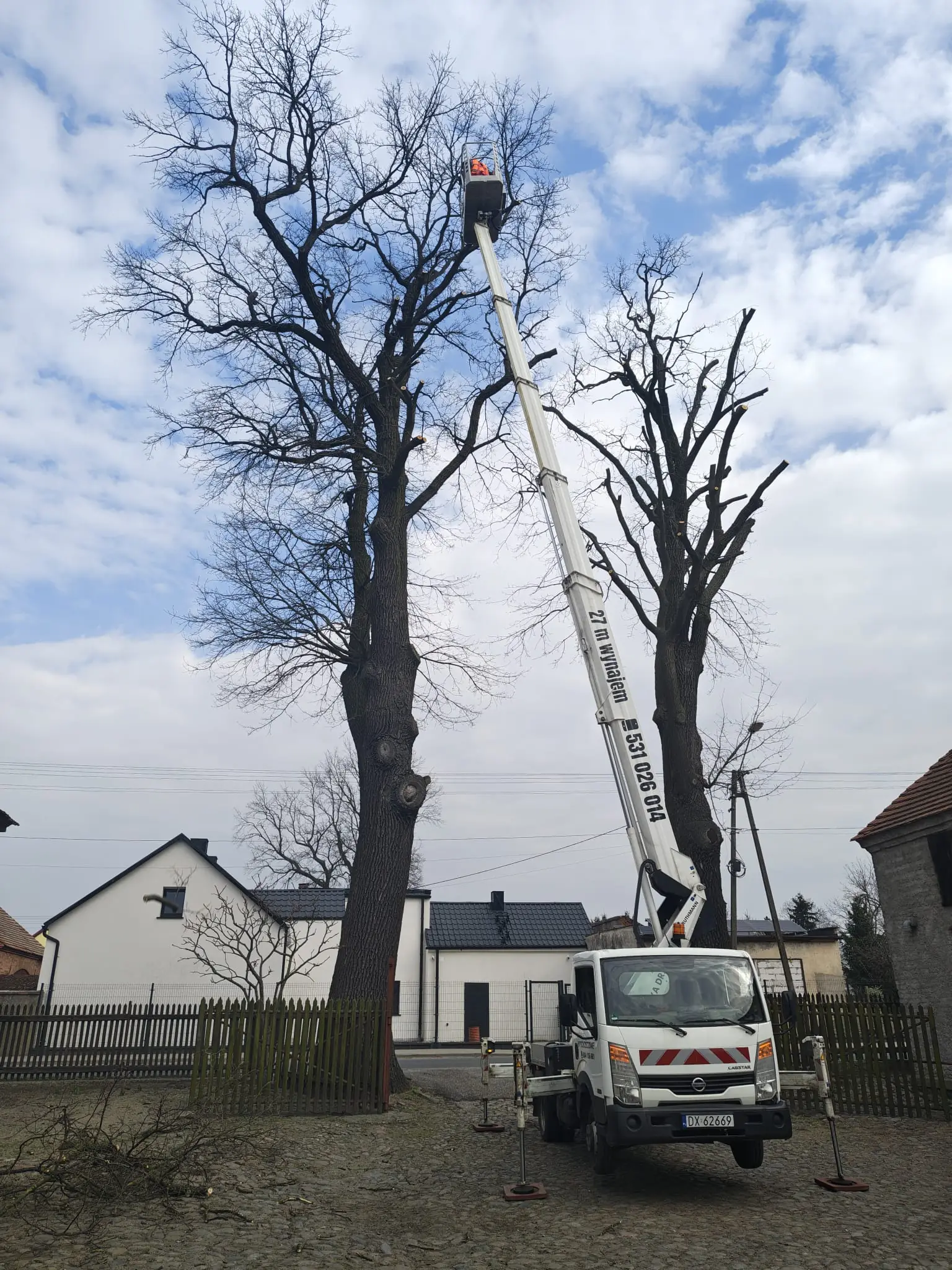 Wycinka drzew z podnośnika